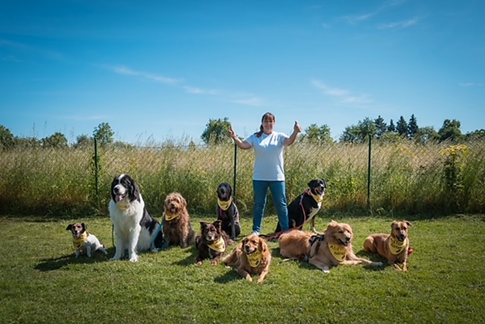 Erika Siefert steht mit ausgebreiteten Armen auf dem Hundeplatz, neun Hunde liegen ruhig vor ihr im Gras